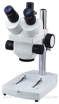Accu-Scope 3062 Stereo Zoom Microscope